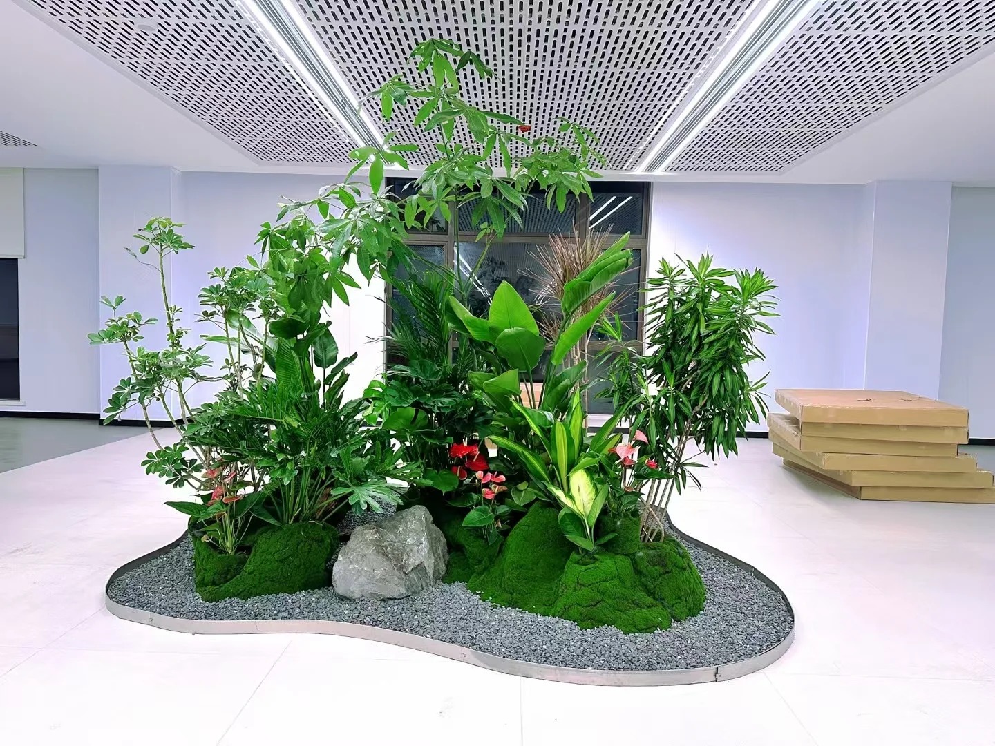 专业花木出租，宁波鄞州打造缤纷绿植空间